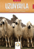 mart-eylül 2012 - Sivas İli Damızlık Koyun Keçi Yetiştiricileri Birliği