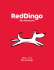 red dıngo katalog