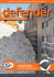 defender - Geoplast