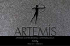 Artemis Katalog