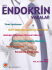 2013 Endokrin Vakalar Kitabı - Türkiye Endokrinoloji Ve