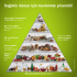 Sağlıklı bünye için beslenme piramidi!
