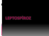 leptospiroz-2015