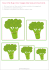12. Sequencing Cards Broccoli
