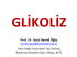 Glikoliz - WordPress.com
